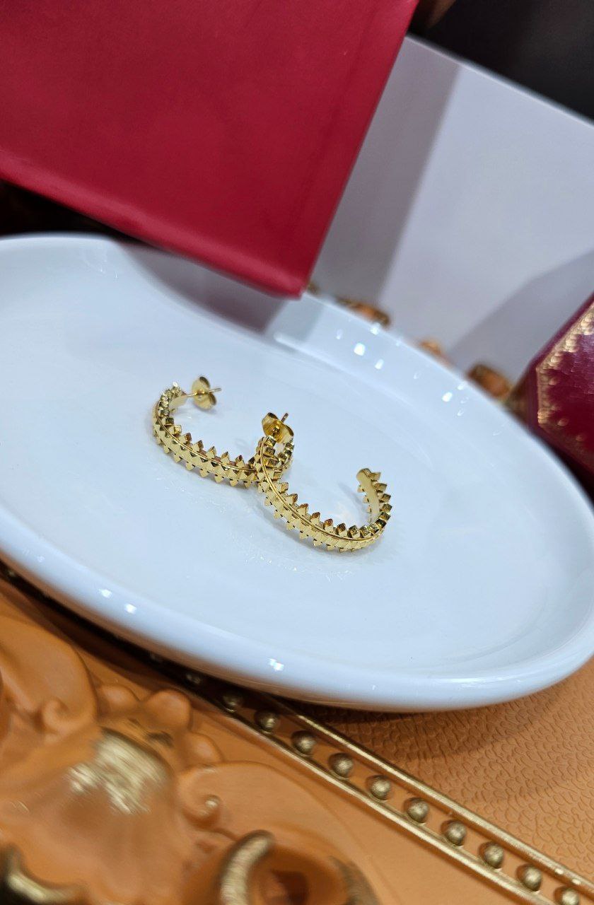 Boucles d'oreilles de Luxe Pour Femme / F300556