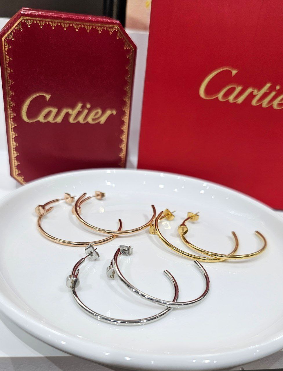 Boucles d'oreilles de Luxe Pour Femme / F300555