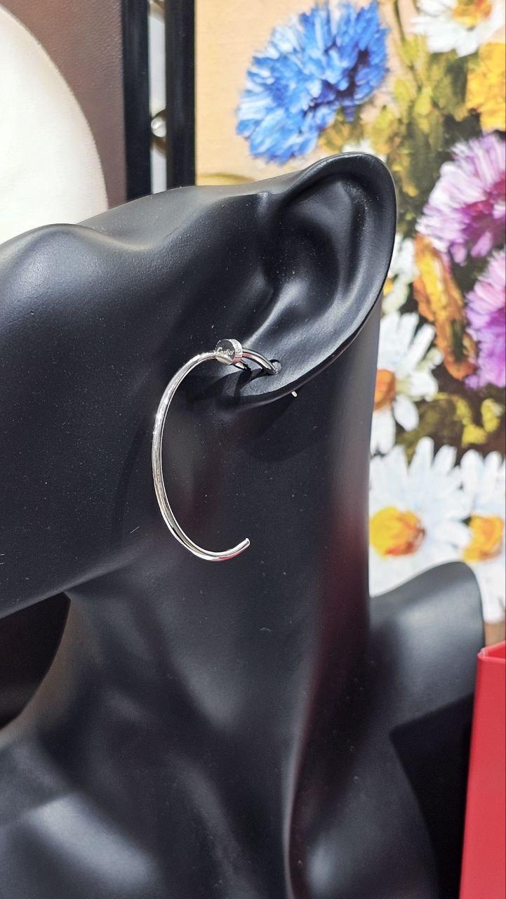 Boucles d'oreilles de Luxe Pour Femme / F300555