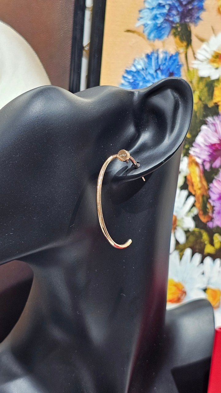 Boucles d'oreilles de Luxe Pour Femme / F300555