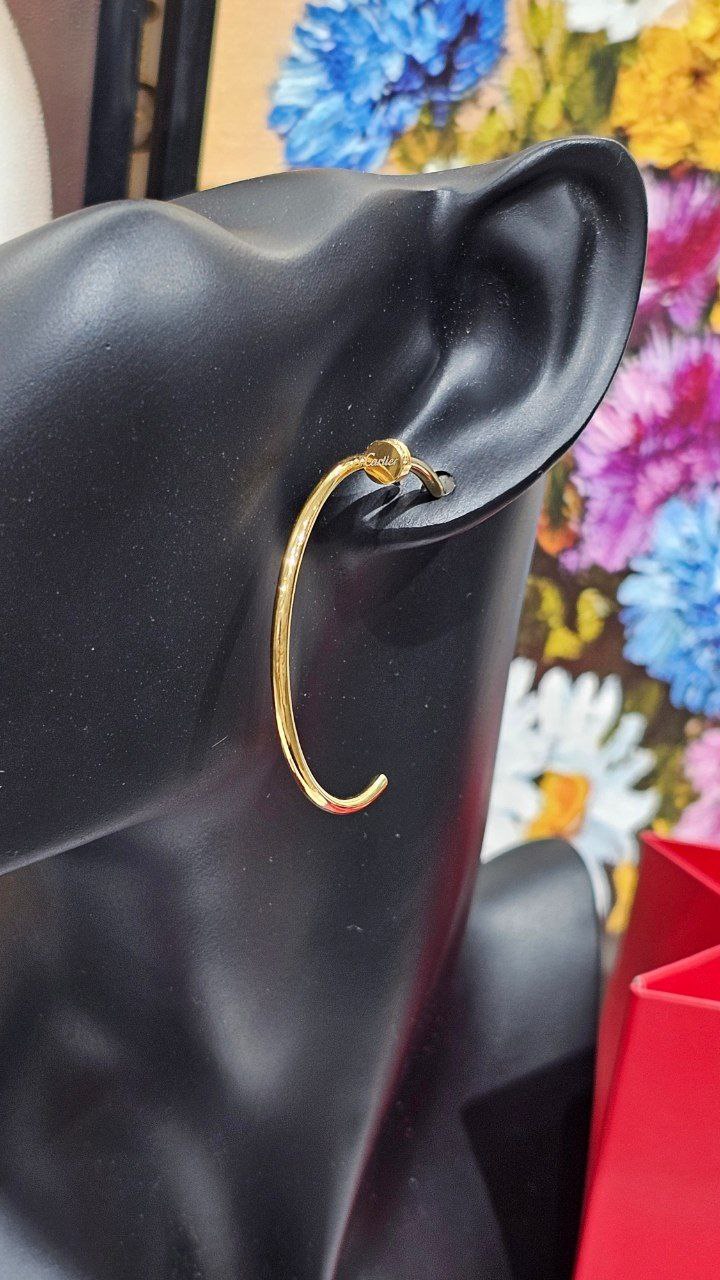 Boucles d'oreilles de Luxe Pour Femme / F300555