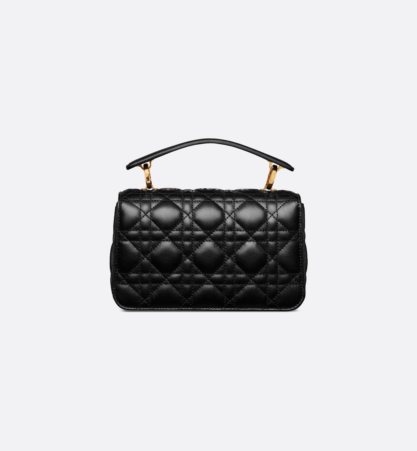 Sac de luxe pour femme / F3000173
