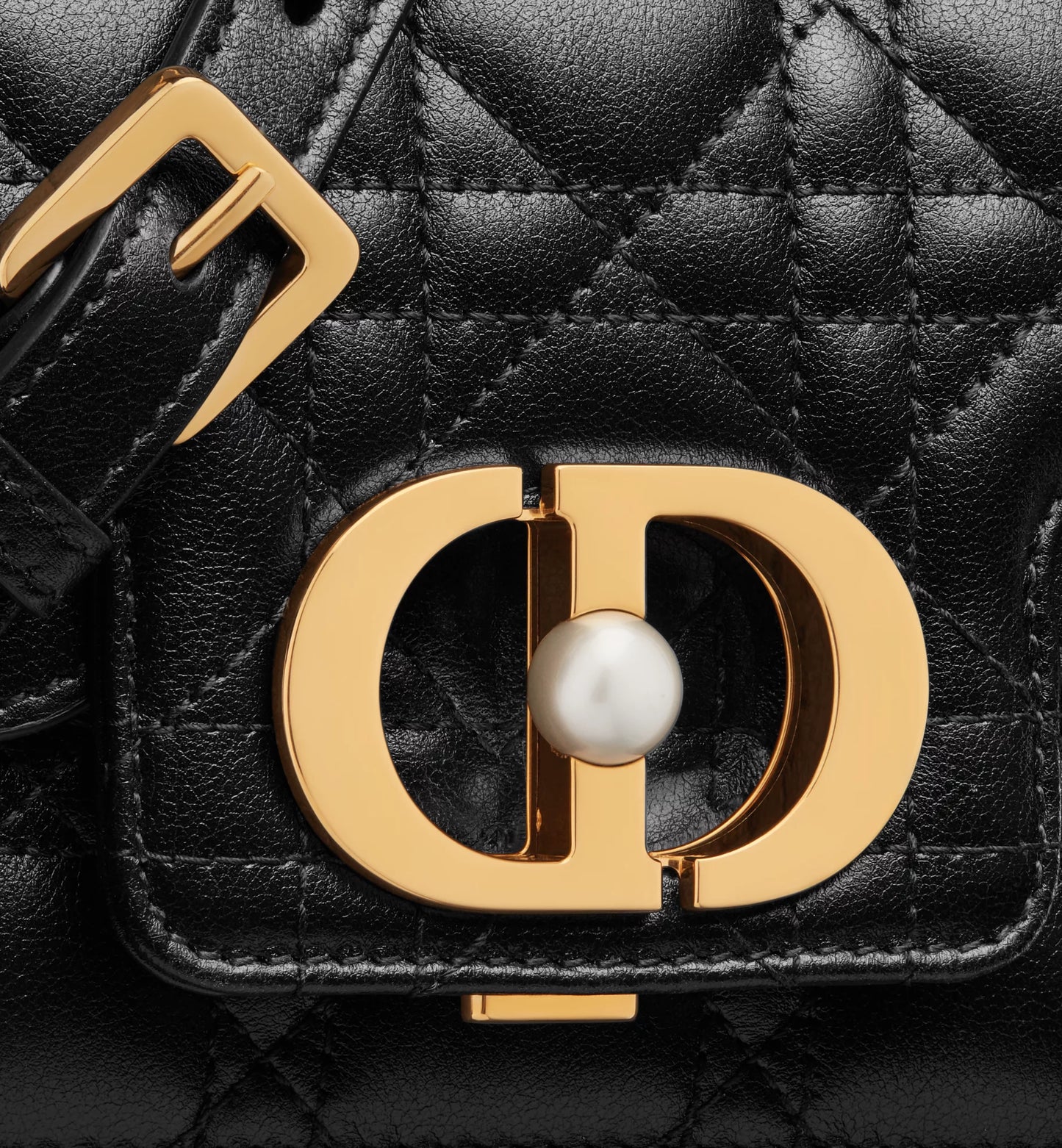 Sac de luxe pour femme / F3000173