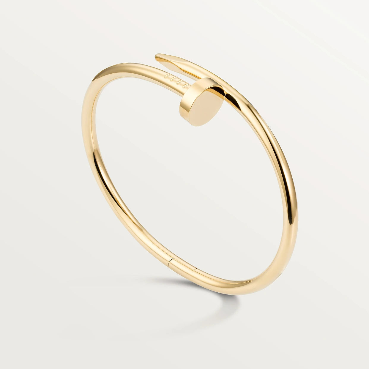 Bracelet de Luxe Pour Femme / F300354