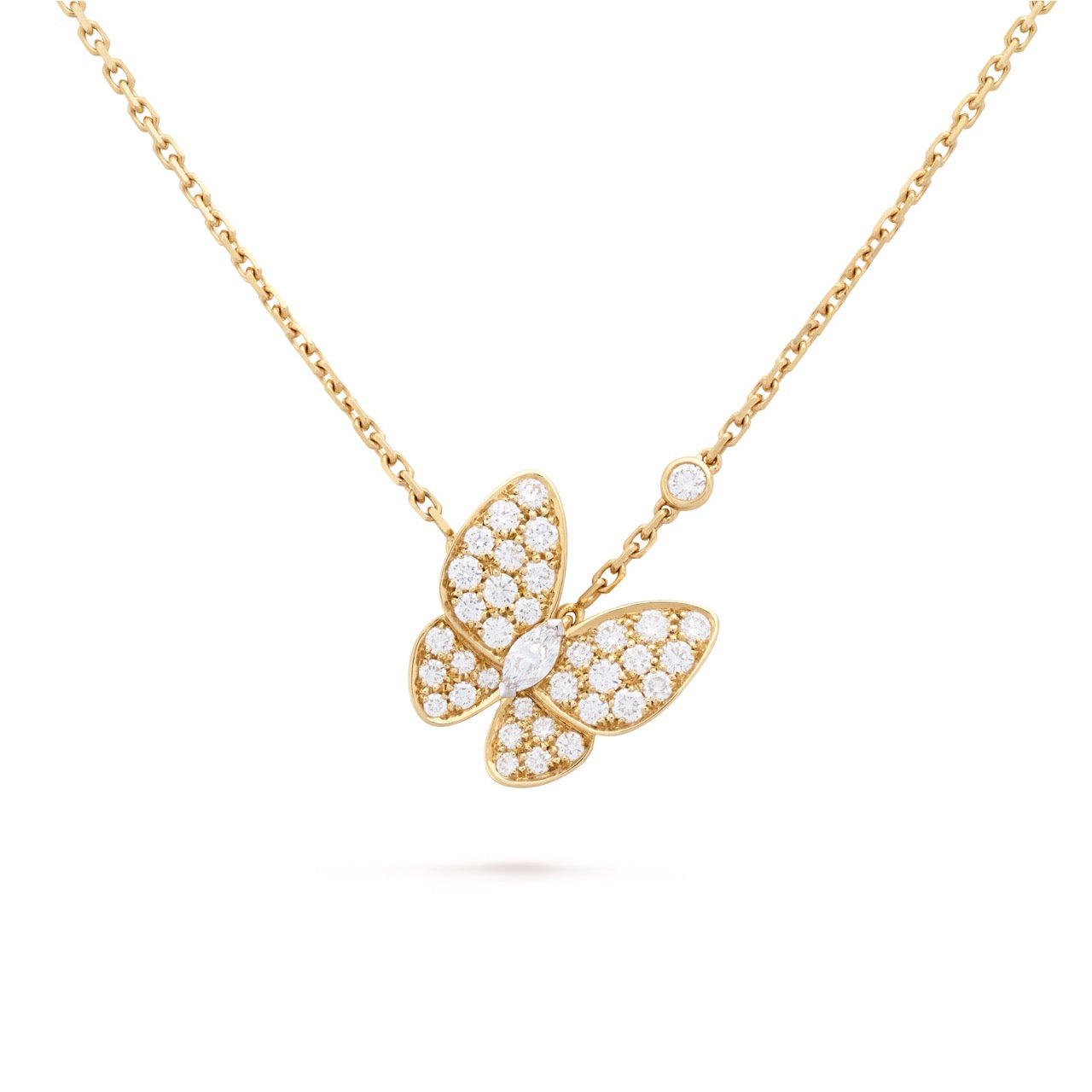Gourmette de Luxe Pour Femme / F300110