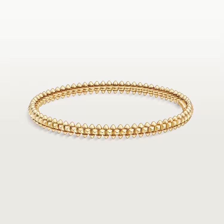 Bracelet de Luxe Pour Femme / F300564
