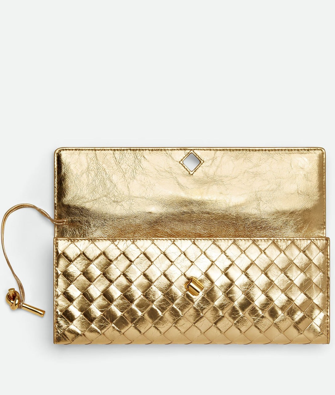 Sac de luxe pour femme / F3000193
