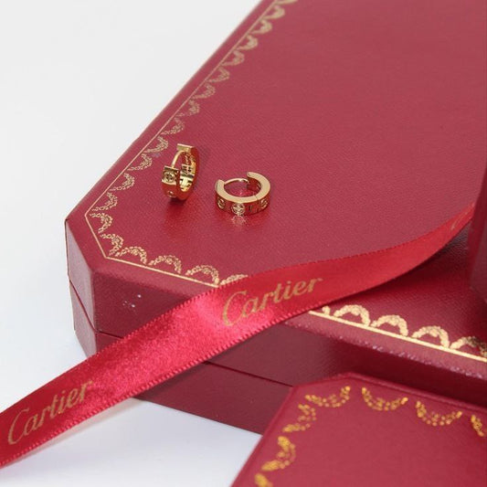 Boucles d'oreilles  De Luxe Pour Femme / F300128