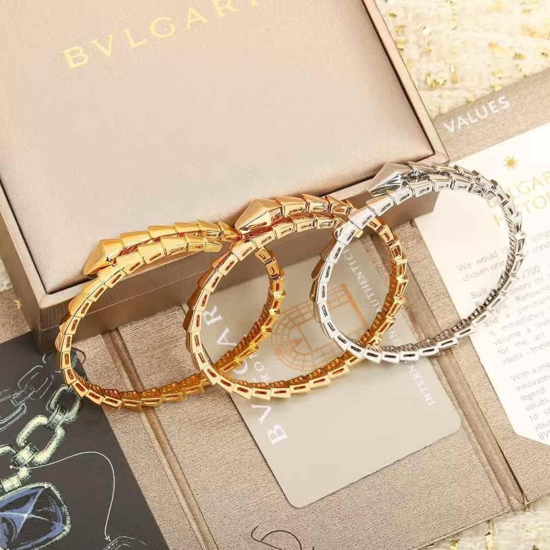 Bracelet de Luxe Pour Femme / F300686