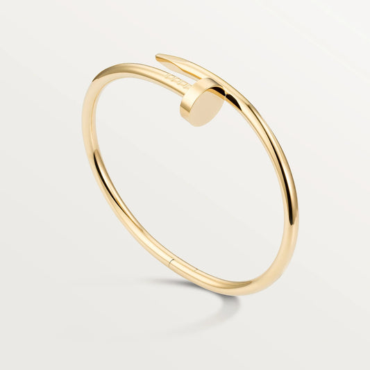 Bracelet de Luxe Pour Femme / F300354
