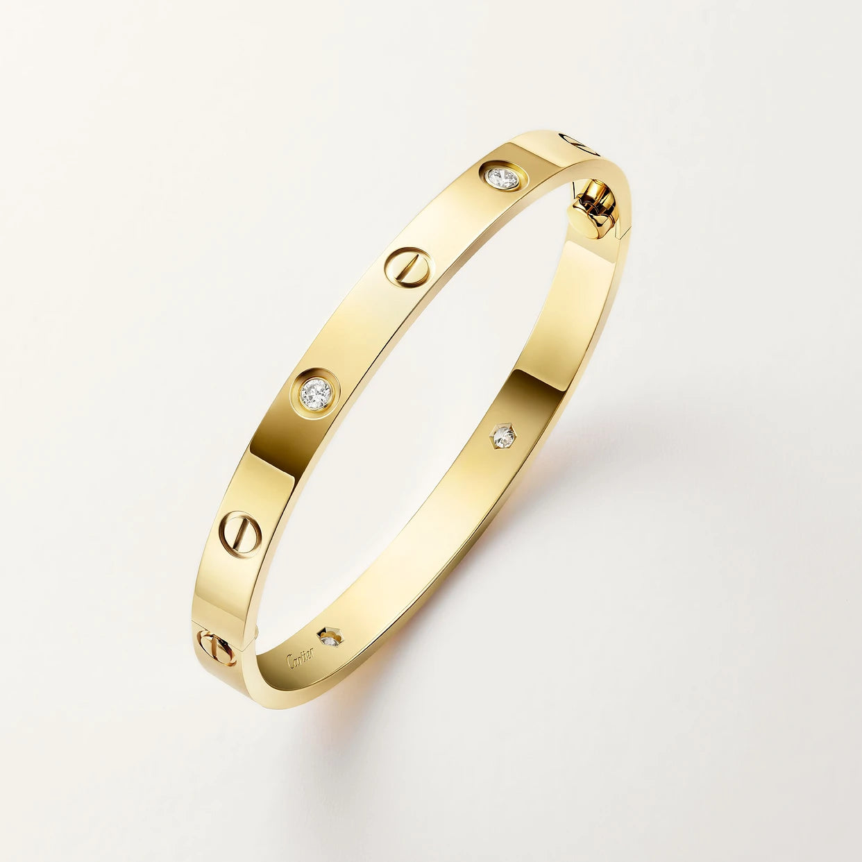 Bracelet de Luxe Pour Femme / F300315